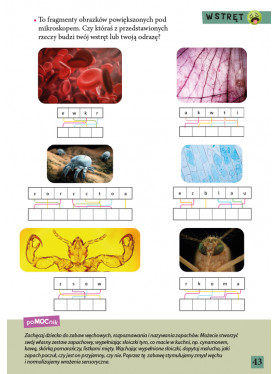 MAM eMOCje. Wiek 5–6 lat ZAPOWIEDŹ