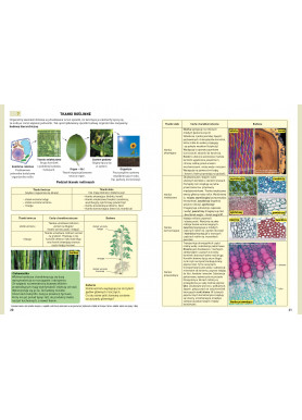 Biologia - Repetytorium