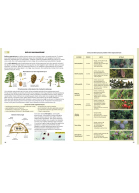 Biologia - Repetytorium